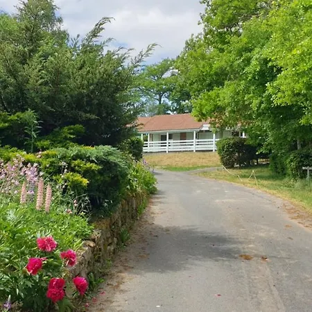 17 Chalet Orpin Chalet Blavignac